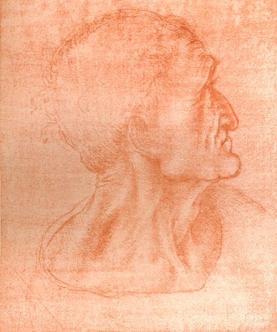 Étude pour la tête de Judas dans `La Cène`, c1494-c1499, 1883 - Leonardo da Vinci