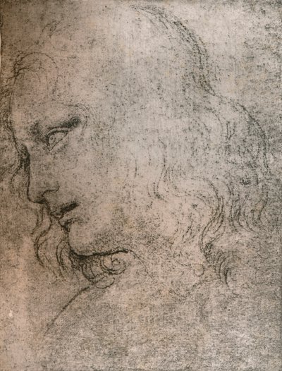 Étude pour la tête de Saint Philippe dans `La Cène`, vers 1494-1499 1883 - Leonardo da Vinci
