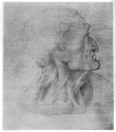 Étude de Judas pour La Cène, c1495 - Leonardo da Vinci