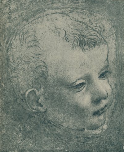 Étude de la tête d