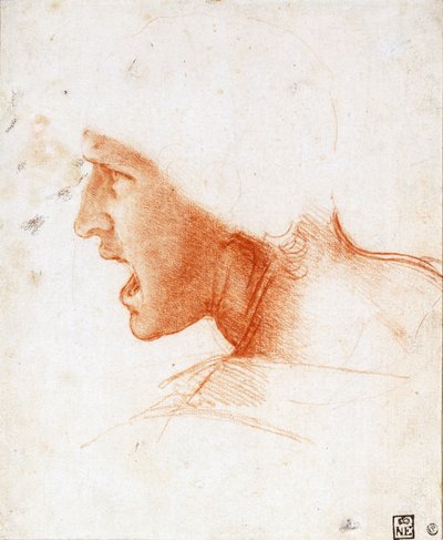 Étude de la tête d