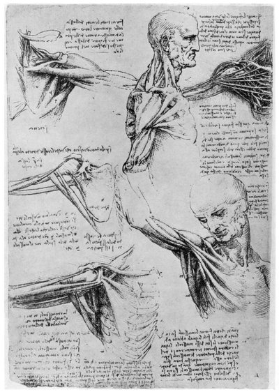 Étude des articulations de l