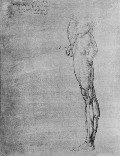 Étude du corps et de la jambe d