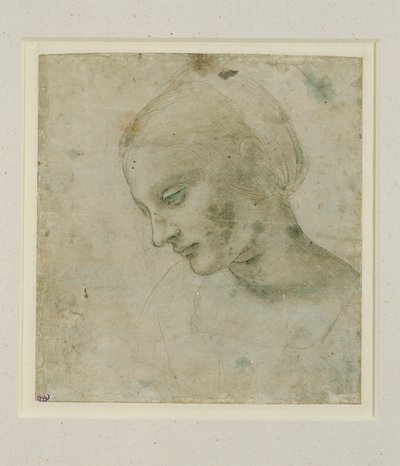 Tete de femme presque de profil … - Leonardo da Vinci