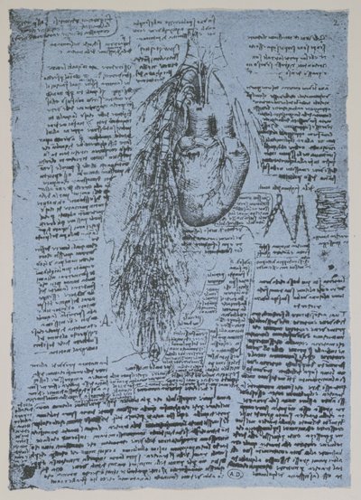 Le cœur et les artères bronchiques, fac-similé du livre de Windsor - Leonardo da Vinci