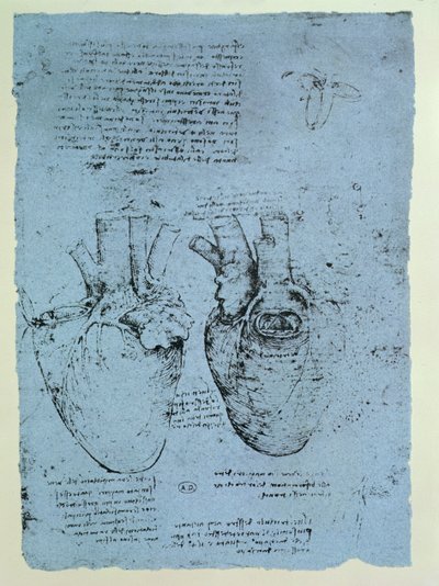 Le Cœur, fac-similé du livre de Windsor - Leonardo da Vinci