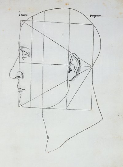 La tête humaine, illustration pour 