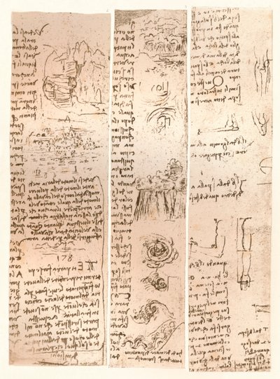 Trois dessins, vers 1472-1519 - Leonardo da Vinci