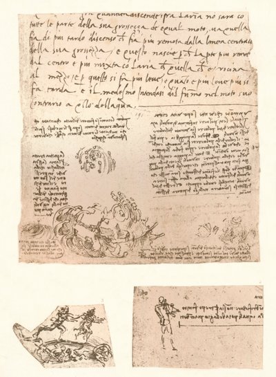 Trois dessins, vers 1472-1519, 1883 - Leonardo da Vinci