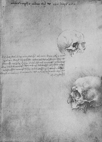 Deux dessins de la structure osseuse de la tête, c1480 - Leonardo da Vinci