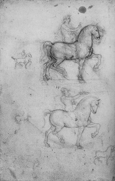 Deux études de chevaux et cavaliers et petites études de chevaux, vers 1480 - Leonardo da Vinci