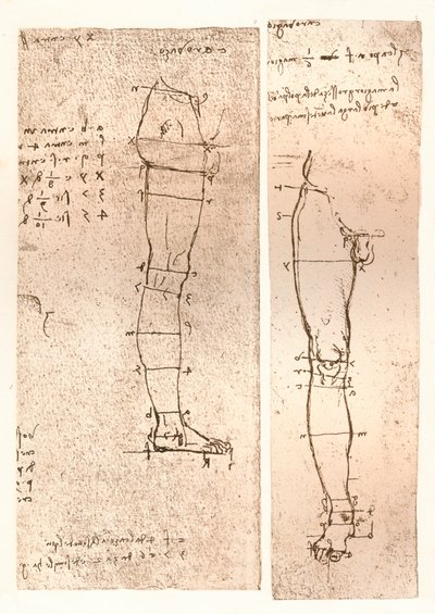 Deux dessins illustrant la théorie des proportions de la figure humaine, vers 1472-1519, 1883 - Leonardo da Vinci