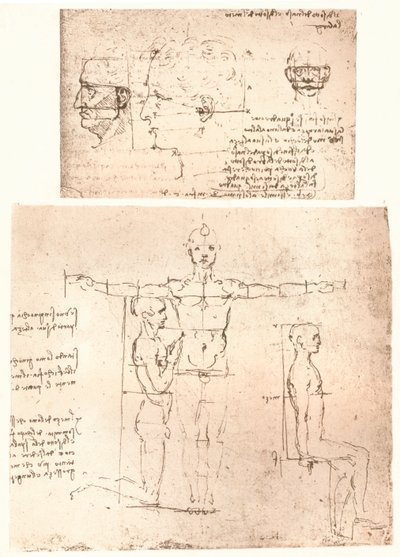 Deux dessins illustrant la théorie des proportions de la figure humaine, vers 1472-1519, 1883 - Leonardo da Vinci