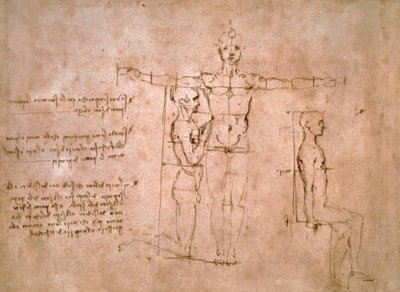 Études comparatives de proportions... - Leonardo da Vinci