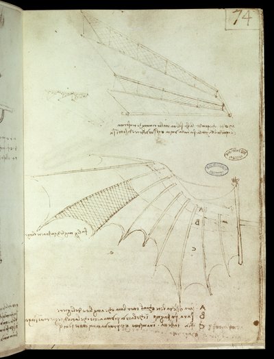 Aile - Leonardo da Vinci