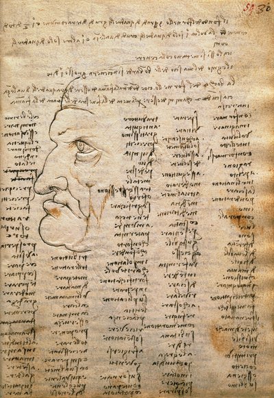 Liste de mots et profil masculin, du Codex Trivulzianus - Leonardo da Vinci
