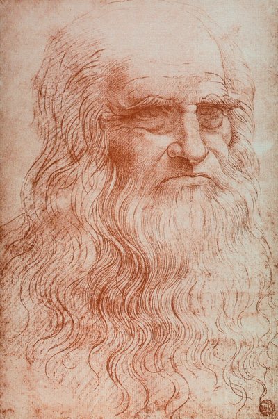 Portrait de Léonard de Vinci, copie de l