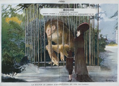 Boche, mammifère sauvage, infestait l
