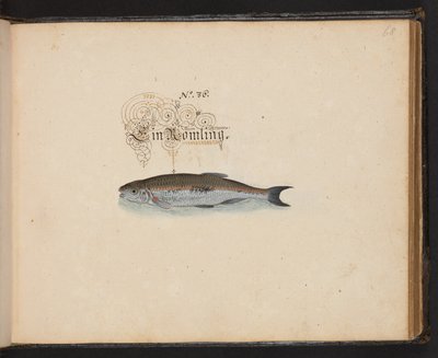 Description et délinéation naturelle exacte des oiseaux aquatiques, poissons, quadrupèdes, insectes et vers trouvés dans les eaux de Strasbourg, que j