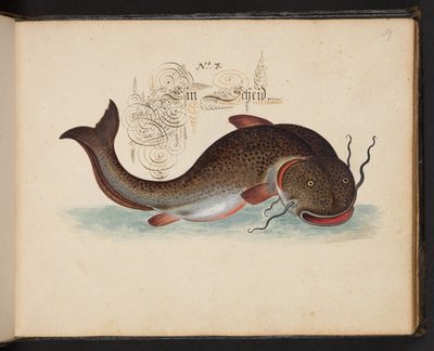 Description et délinéation naturelle exacte des oiseaux aquatiques, poissons, quadrupèdes, insectes et vers trouvés dans les eaux de Strasbourg, que j
