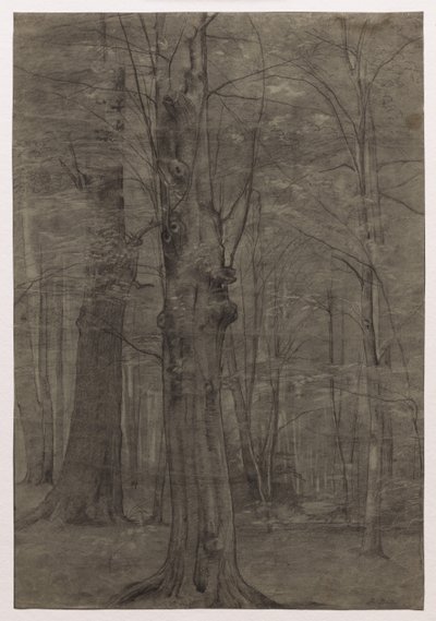 Arbres - Leopold Bode