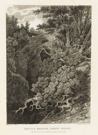 Pont du Diable, nord du Pays de Galles - Letitia Byrne