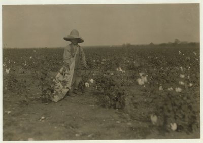 Willie Hesse, 5 ans, cueille 15 livres de coton par jour sur la ferme de ses parents près de West, Texas, 1913 - Lewis Wickes Hine