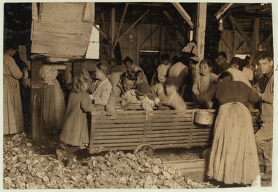 Bill May, âgé de 5 ans, qui gagne 15 cents par jour, dans le hangar de décorticage de la Barataria Canning Company, Biloxi, Mississippi, 1911 - Lewis Wickes Hine