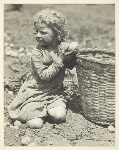 Le travail des enfants dans les exploitations agricoles - Lewis Wickes Hine