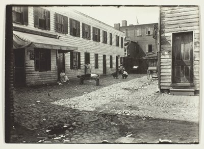 Negro Alley Housing Whites, Washington, D.C. - Lewis Wickes Hine