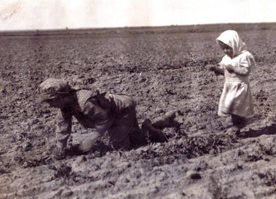 Image inconnue - Lewis Wickes Hine
