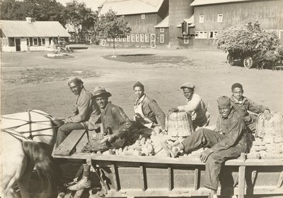 Sans titre - Lewis Wickes Hine