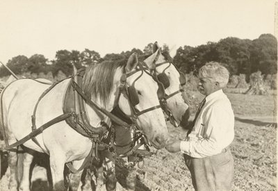 Sans titre, vers 1935 - Lewis Wickes Hine