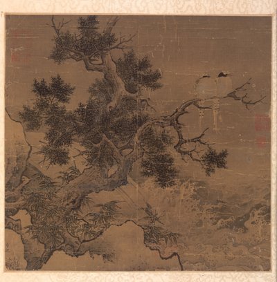 Oiseaux sur un arbre au-dessus d