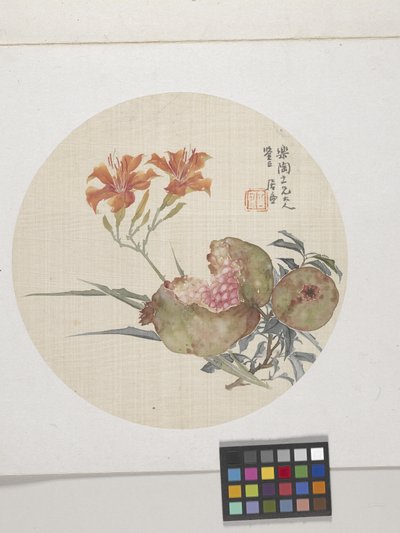 Grenade et Lys du jour, vers 1850-1904 (encre et couleurs sur papier) - Lian Ju