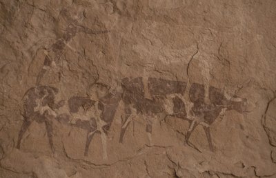 Bétail et figures humaines, peinture rupestre, Oued in Djeran, près de Djanet, Tassili n