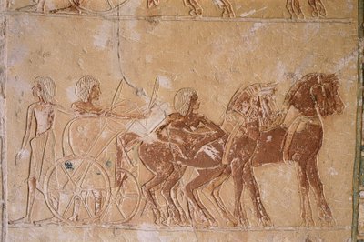 Égypte, Le Caire, Ancienne Memphis, Nécropole de Saqqarah, reliefs peints dans la tombe d
