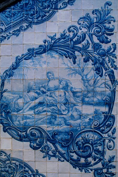 Carreaux émaillés du Palais des Comtes d