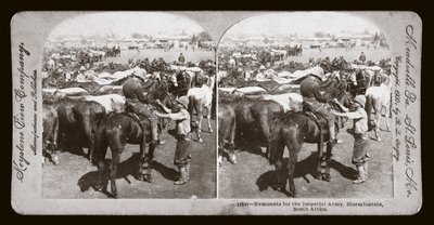 Guerre des Boers (Afrique du Sud) - Unbekannt Unbekannt