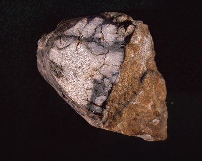 Météorite trouvée en Inde en 1875 - Muséum d