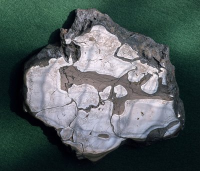 Météorite, période inconnue - Muséum d