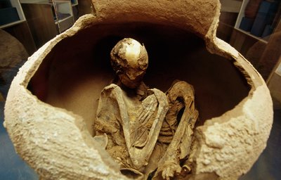 Momie dans une urne en céramique. Civilisation d