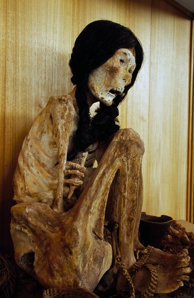 Momie connue sous le nom de Miss Chile, de San Pedro de Atacama, Chili, 500 av. J.-C. - Unbekannt Unbekannt