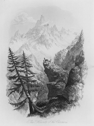 Les repaires du chamois (gravure) - Lieutenant Colonel (after) Batty
