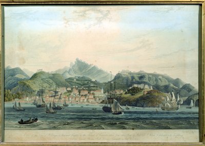 Vue de la ville de Saint-Georges et de Richmond Heights sur l