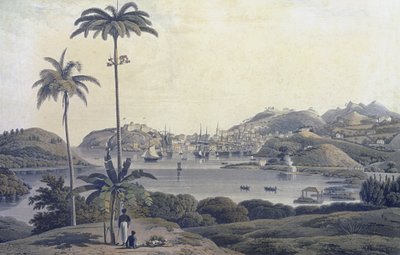 Vue de la ville de Saint-Georges sur l