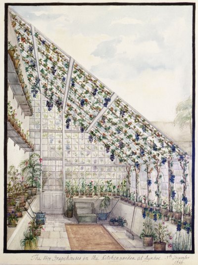 Les Deux Serres à Raisins dans le Jardin de Cuisine, Aynhoe - Lili Cartwright
