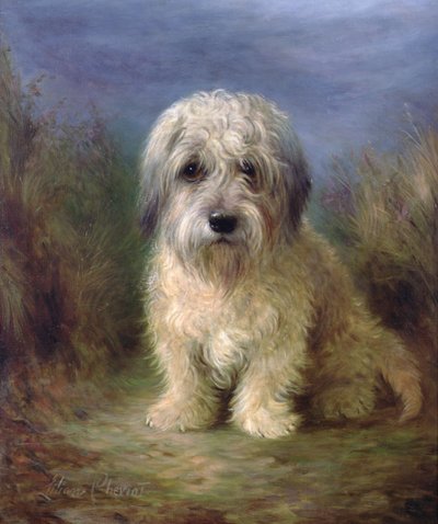 Dandie Dinmont Terrier - Lilian Cheviot