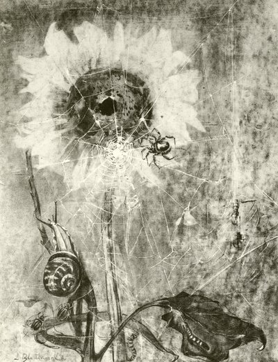 Les Fées - Lily Blatherwick