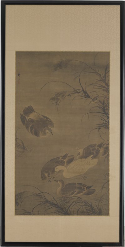 Oies nageant - Lin Liang